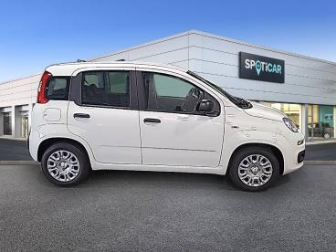 SPOTICAR Fiat Panda 1.0 Hybrid 51kw (70cv) Pop Ocasion - Urbano Gasolina Blanco - Palma De Mallorca - 1202123589_4