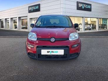SPOTICAR Fiat Panda 1.0 Hybrid 51kw (70cv) - Ocasion - Urbano Gasolina Rojo - Torrente - 1202127656_2