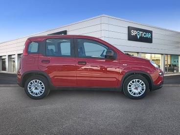 SPOTICAR Fiat Panda 1.0 Hybrid 51kw (70cv) - Ocasion - Urbano Gasolina Rojo - Torrente - 1202127656_4