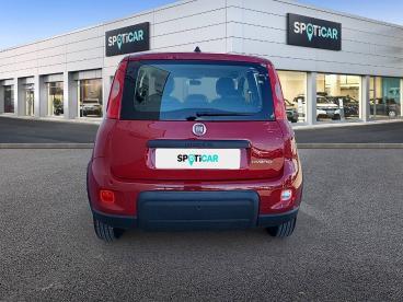 SPOTICAR Fiat Panda 1.0 Hybrid 51kw (70cv) - Ocasion - Urbano Gasolina Rojo - Torrente - 1202127656_5