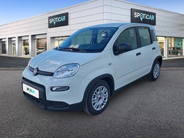 SPOTICAR Fiat Panda 1.0 Hybrid 51kw (70cv) - Ocasion - Urbano Gasolina Blanco - Torrente - 1202127661_1