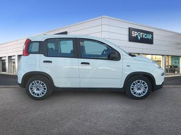 SPOTICAR Fiat Panda 1.0 Hybrid 51kw (70cv) - Ocasion - Urbano Gasolina Blanco - Torrente - 1202127661_4