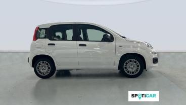 SPOTICAR Fiat Panda 1.0 Hybrid Icon 48 Kw (65 Cv) Ocasion - Urbano Gasolina Blanco - Mataro - 1202129710_4