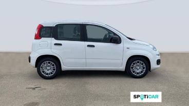 SPOTICAR Fiat Panda 1.0 Hybrid Icon 48 Kw (65 Cv) Ocasion - Urbano Gasolina Blanco - Fornells De La Selva - 1202134717_4