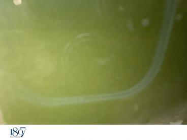 SPOTICAR Abarth 600e Electrique 54 Kwh Turismo Occasion - Suv-4x4 Electrique Jaune - Pertuis - 1203458113_5