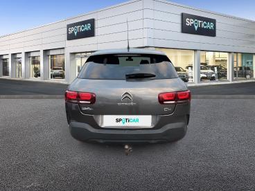 SPOTICAR Citroën C4 Cactus Bluehdi 120 S&s Eat6 Shine Occasion - Berline Diesel Gris - Granville - 1203827639_5