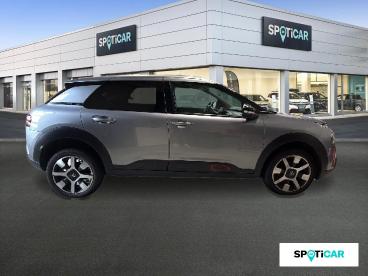 SPOTICAR Citroën C4 Cactus Bluehdi 100 S&s Bvm6 Shine Business Occasion - Berline Diesel Champagne - Thionville - 1203839677_4