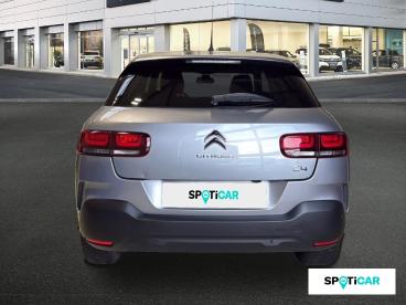 SPOTICAR Citroën C4 Cactus Bluehdi 100 S&s Bvm6 Shine Business Occasion - Berline Diesel Champagne - Thionville - 1203839677_5