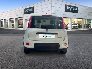 SPOTICAR Fiat Panda 1.0 70 Ch Hybrid Bsg S/s Occasion - Citadine Essence Blanc - Chavelot - 1203646048_5