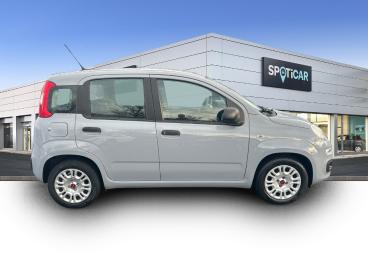 SPOTICAR Fiat Panda 1.0 70ch Bsg S&s Occasion - Citadine Hybride Gris Moda Pastel Extra-série - Bieville Beuville - 1203733056_4