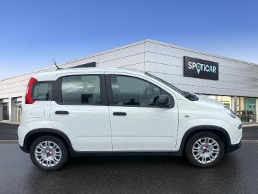 SPOTICAR Fiat Panda 1.0 70ch Bsg S&s Occasion - Citadine Hybride Blanc - Reze - 1203734682_4