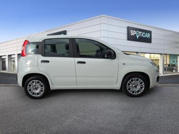 SPOTICAR Fiat Panda 1.0 70ch Bsg S&s City Occasion - Citadine Hybride Blanc - Narbonne - 1203745464_4
