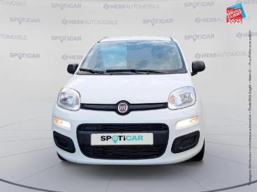 SPOTICAR Fiat Panda 1.0 70ch Bsg S&s (juin2021) Occasion - Citadine Hybride Blanc - Franois - 1203758447_2