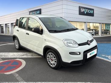 SPOTICAR Fiat Panda 1.0 70ch Bsg S&s Occasion - Citadine Hybride Blanc - Saint-saulve - 1203781543_3