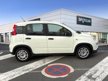 SPOTICAR Fiat Panda 1.0 70ch Bsg S&s Occasion - Citadine Hybride Blanc - Saint-saulve - 1203781543_4