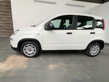 SPOTICAR Fiat Panda 1.0 70 Ch Hybride Bsg S/s Occasion - Citadine Essence Blanc - St Etienne - 1203826193_5