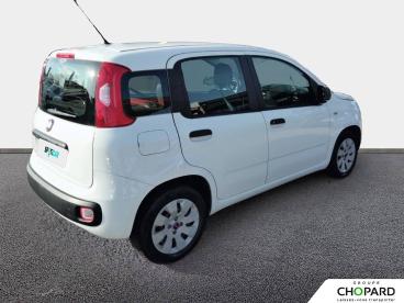 SPOTICAR Fiat Panda 1.2 8v 69 Ch Pop Occasion - Citadine Essence Blanc - Frejus - 1203859217_4