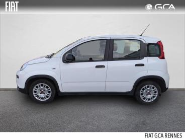SPOTICAR Fiat Panda 1.0 70ch Bsg S&s Occasion - Citadine Hybride Blanc - Cesson-sevigne - 1203862751_3