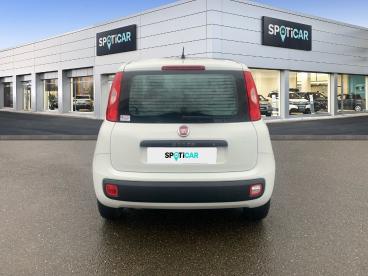 SPOTICAR Fiat Panda 1.2 8v 69ch S&s  Euro6d Occasion - Citadine Essence Blanc - Fontenay Sur Eure - 1203886366_5