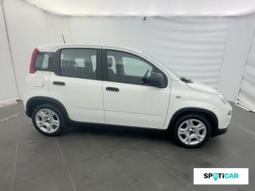 SPOTICAR Fiat Panda 1.0 70ch Bsg S&s Occasion - Citadine Hybride Blanc - Eybens - 1204008887_4