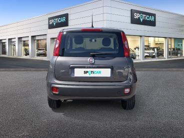 SPOTICAR Fiat Panda 1.2 69 Ch S/s Easy Occasion - Citadine Essence Gris - Epinal - 1204026770_5