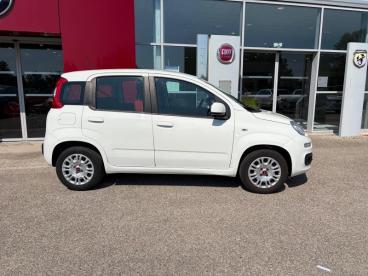 SPOTICAR Fiat Panda 1.2 8v 69ch Occasion - Citadine Essence Blanc - Salon De Provence Cedex - 1204082423_4