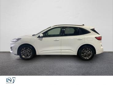 SPOTICAR Ford Kuga 2.5 Duratec 225 Ch Phev Ecvt St Line Occasion - Suv-4x4 Hybride Rechargeable Blanc - Pertuis - 1203749185_2