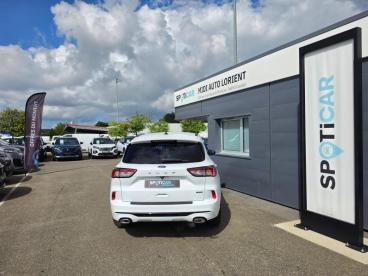SPOTICAR Ford Kuga  Occasion - Suv-4x4 Hybride Blanc Glacier - Caudan - 1204011539_4