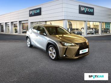 SPOTICAR Lexus Ux 250h 2wd Pack Confort Business Occasion - Suv-4x4 Hybride Gris - Frejus - 1203699372_3