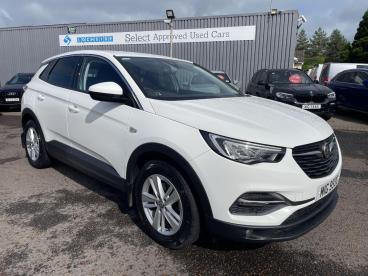 SPOTICAR Vauxhall Grandland X 1.2 Turbo Se Premium Euro 6 (s/s) 5dr Used Car - Suv Petrol White - Enniskillen - 1200635824_1