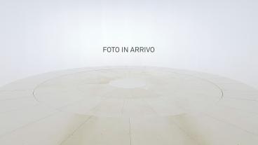 ALFA ROMEO CERTIFIED Alfa Romeo Stelvio 2.2 Turbo Diesel Usata - Suv Diesel Bianco - Casamarciano - 2270613_1