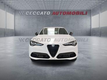 ALFA ROMEO CERTIFIED Alfa Romeo Stelvio Turbo Diesel 210cv Sprint Usata - Suv Diesel Bianco - Padova - 2317410_4