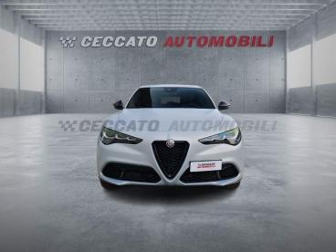 ALFA ROMEO CERTIFIED Alfa Romeo Stelvio 2.2 T Competizione Q4 210cv Auto Usata - Suv Diesel Grigio - Padova - 2436107_4