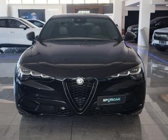 ALFA ROMEO CERTIFIED Alfa Romeo Stelvio 2.2 Td 160 Cv Competizione At8 Rwd Usata - Suv Diesel Nero - Foggia - 2494400_2