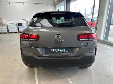 SPOTICAR Citroën C4 Cactus Bluehdi 100 S&s Feel Usata - Berlina Diesel Grigio - Venezia-mestre - 1202429565_3