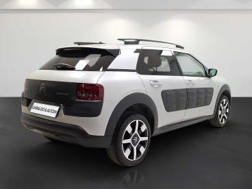 SPOTICAR Citroën C4 Cactus 1.6 Bluehdi Shine 100cv Usata - Berlina Diesel Beige - Padova - 1202440602_4
