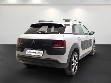 SPOTICAR Citroën C4 Cactus 1.6 Bluehdi Shine 100cv Usata - Berlina Diesel Beige - Padova - 1202440602_5