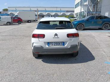 SPOTICAR Citroën C4 Cactus Puretech 110 S&s Eat6 Feel Usata - Berlina Benzina Bianco - Pesaro - 1202473192_4
