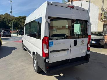 SPOTICAR Fiat Ducato 9posti Per Il Trasporto Persone Con Disabilita 35q Usata - Coupé-cabriolet Diesel Bianco - Lancusi - 502413582_3