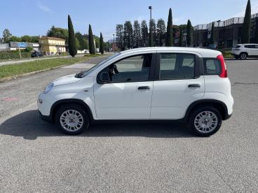 SPOTICAR Fiat Panda Kmo Usata - City Car Ibrido Bianco - Casatenovo - 502237037_4