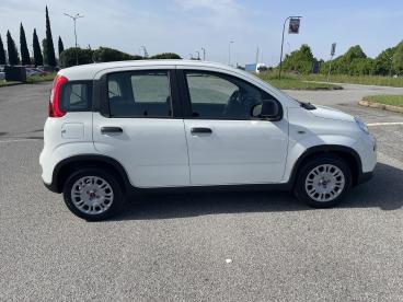 SPOTICAR Fiat Panda Kmo Usata - City Car Ibrido Bianco - Casatenovo - 502237037_5