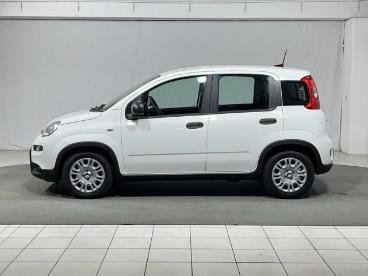SPOTICAR Fiat Panda 1.0 Firefly S And S Hybrid Usata - City Car Ibrido Bianco - Montagna In Valtellina - 502292644_2