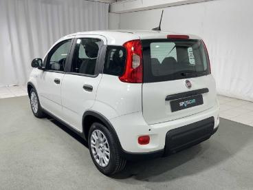 SPOTICAR Fiat Panda 1.0 Firefly S And S Hybrid Usata - City Car Ibrido Bianco - Montagna In Valtellina - 502292644_3