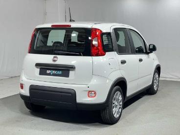 SPOTICAR Fiat Panda 1.0 Firefly S And S Hybrid Usata - City Car Ibrido Bianco - Montagna In Valtellina - 502292644_5