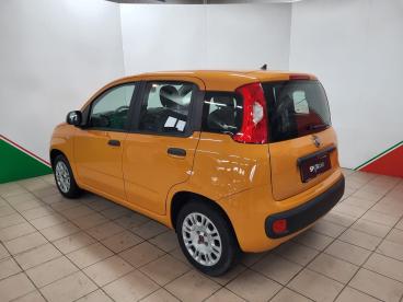 SPOTICAR Fiat Panda 1.2 Easypower Easy Usata - City Car Gpl-metano Arancio - Terranuova Bracciolini - 502335978_4