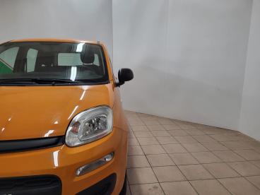 SPOTICAR Fiat Panda 1.2 Easypower Easy Usata - City Car Gpl-metano Arancio - Terranuova Bracciolini - 502335978_5