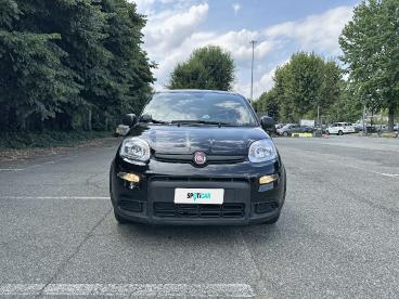 SPOTICAR Fiat Panda 1.0 Firefly 70cv S&s Hybrid Usata - City Car Ibrido Nero - Torino - 1202366786_2