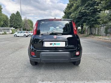 SPOTICAR Fiat Panda 1.0 Firefly 70cv S&s Hybrid Usata - City Car Ibrido Nero - Torino - 1202366786_5