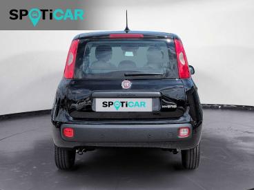 SPOTICAR Fiat Panda 1.0 Firefly S&s Hybrid Usata - City Car Ibrido Nero - Castelfranco Veneto - 1202374105_5