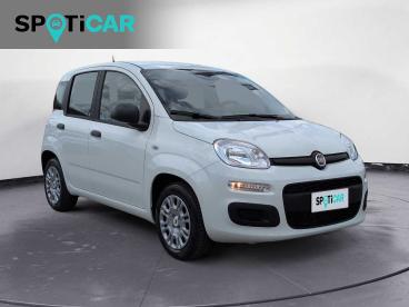 SPOTICAR Fiat Panda 1.0 Firefly S&s Hybrid Usata - City Car Ibrido Bianco - Castelfranco Veneto - 1202374131_3